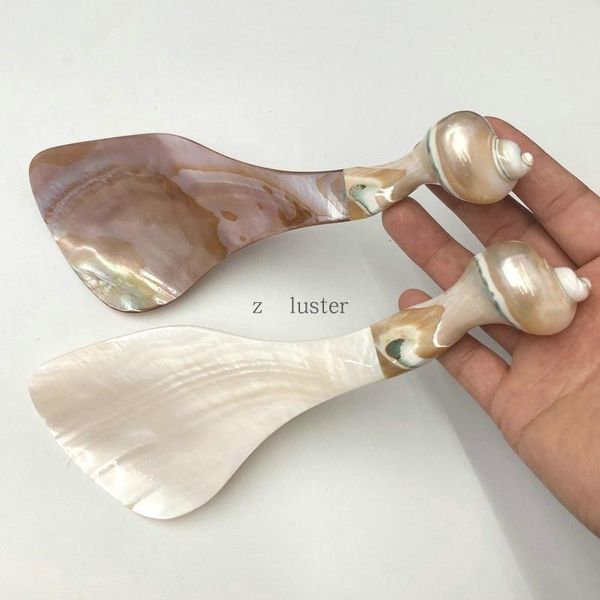 spoons natural conch and shell processing fine hand polishing large long-handle spoon salad rice
spoons natural conch and shell processing fine hand polishing large long-handle spoon salad rice