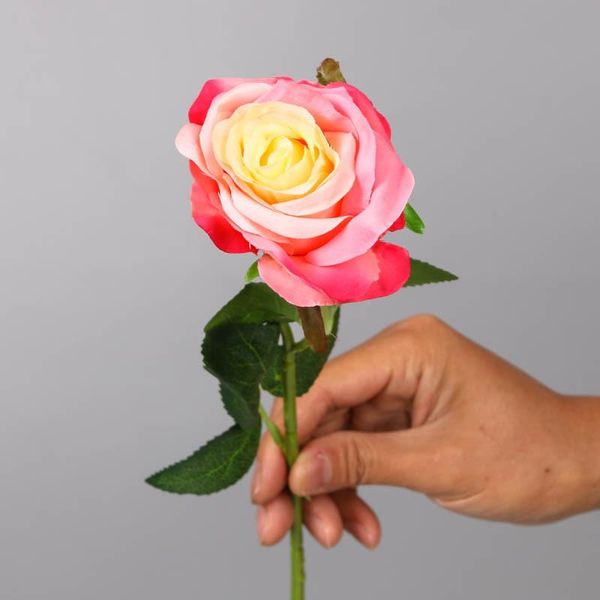 decorative flowers & wreaths 10pcs /lot single branch rose silk valentine gift roses wedding decoration fake bouquet farmhouse decor
decorative flowers & wreaths 10pcs /lot single branch rose silk valentine gift roses wedding decoration fake bouquet farmhouse decor