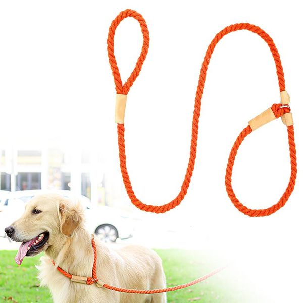 dog collars & leashes pet collar leash adjustable buckle traction rope harness training halter
dog collars & leashes pet collar leash adjustable buckle traction rope harness training halter