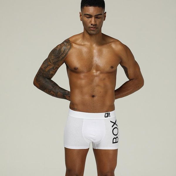 underpants 2 pcs/lot mesh mike fiber cotton boxershorts men comforable oanties set gay underwear man boxer black white clolors -2xl
underpants 2 pcs/lot mesh mike fiber cotton boxershorts men comforable oanties set gay underwear man boxer black white clolors -2xl