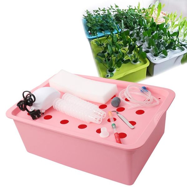 planters & pots 24 holes hydroponic kit with oxygen pump indoor garden cabinet box bubble nursery cultivation 220v/110v 1 set
planters & pots 24 holes hydroponic kit with oxygen pump indoor garden cabinet box bubble nursery cultivation 220v/110v 1 set