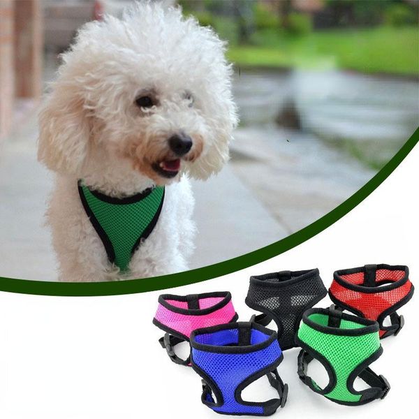 dog collars & leashes harness vest training for chihuahua puppy soft mesh pet dogs cats collar cat chest strap
dog collars & leashes harness vest training for chihuahua puppy soft mesh pet dogs cats collar cat chest strap