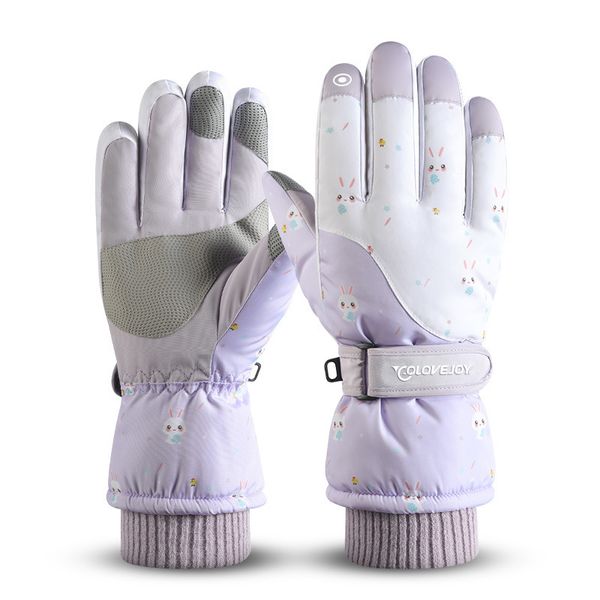 popular warm soft coral velvet lining waterproof anti-slip ski gloves for women winter gift, Blue;gray
popular warm soft coral velvet lining waterproof anti-slip ski gloves for women winter gift, Blue;gray
