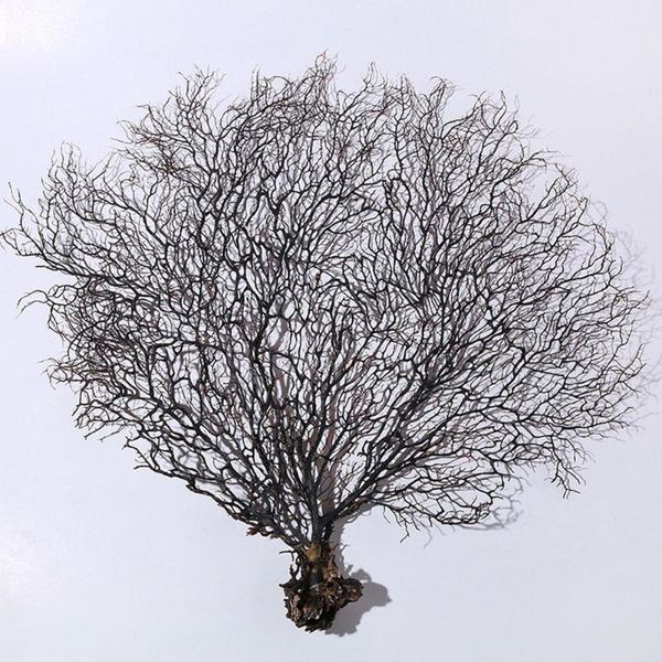 decorative flowers & wreaths natural conchand shell sea willow tree iron coral branch red fish tank landscaping home decoration wall sticker
decorative flowers & wreaths natural conchand shell sea willow tree iron coral branch red fish tank landscaping home decoration wall sticker