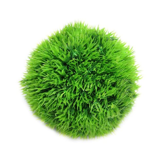 decorations vivid mini pearl plants aquarium grass seeds fish tank decoration ornamental aquatic for home garden
decorations vivid mini pearl plants aquarium grass seeds fish tank decoration ornamental aquatic for home garden