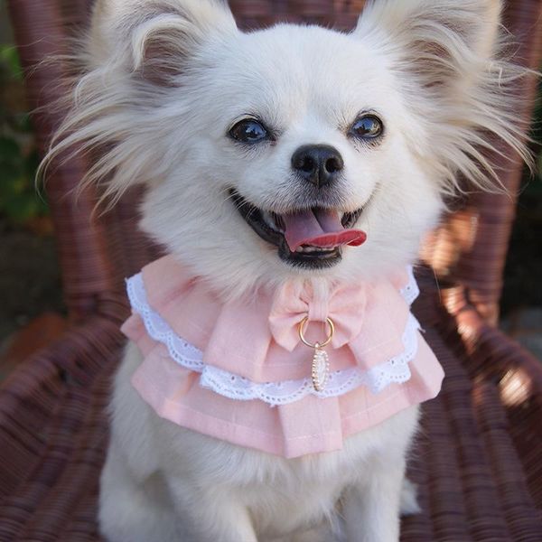 adjustable pink color pet flower lace bib dogs drool towel teddy sweet princess scarf handmade necklace and collar cat collars & leads
adjustable pink color pet flower lace bib dogs drool towel teddy sweet princess scarf handmade necklace and collar cat collars & leads