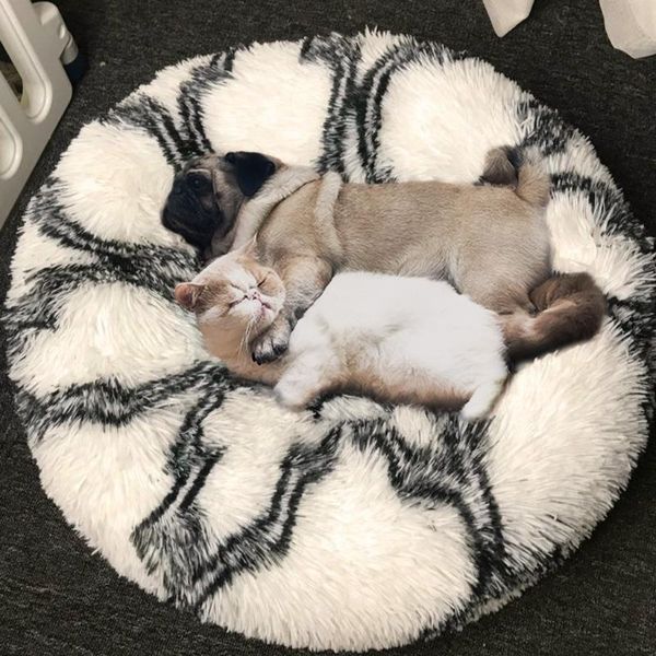 animals supplies cat bed round dog basket kennel pets house cushion mat panier for beds & furniture
animals supplies cat bed round dog basket kennel pets house cushion mat panier for beds & furniture