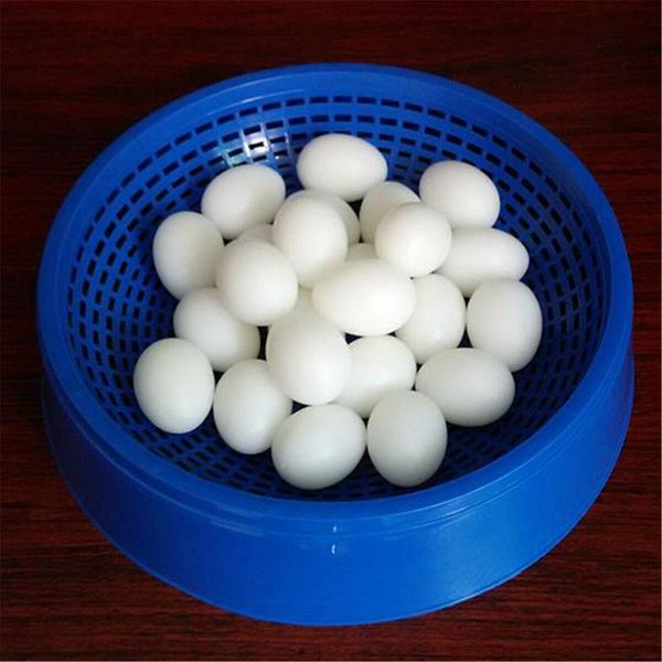 bird cages blue pigeon supplies plastic dehumidification egg basin nest bowl grass mat home decoration
bird cages blue pigeon supplies plastic dehumidification egg basin nest bowl grass mat home decoration