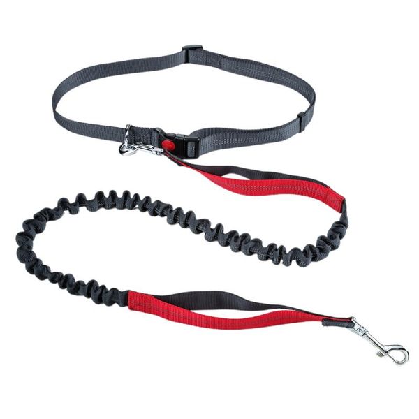 hands bungee long reflective lead accessories pet supplies dual handle running adjustable belts anti lost dog leash elastic collars & l
hands bungee long reflective lead accessories pet supplies dual handle running adjustable belts anti lost dog leash elastic collars & l