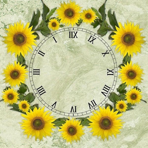 full square/round diamond painting sunflower clock embroidery cross stitch rhinestone mosaic home decor
full square/round diamond painting sunflower clock embroidery cross stitch rhinestone mosaic home decor