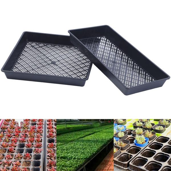seedling tray flat flower garden nursery tool square strong and durable rectangular s8a5720 planters & pots
seedling tray flat flower garden nursery tool square strong and durable rectangular s8a5720 planters & pots