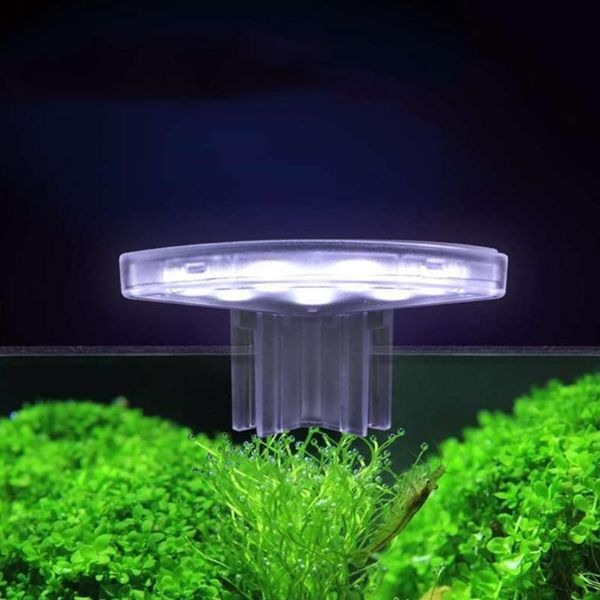 aquariums lighting mini waterproof clip led aquarium light fish tank aquatic plants grow lamp
aquariums lighting mini waterproof clip led aquarium light fish tank aquatic plants grow lamp