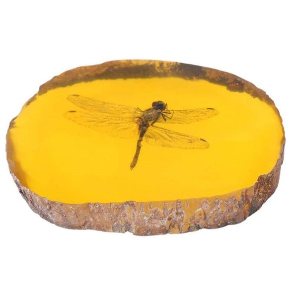 decorative objects & figurines home crafts decor collection chinese beautiful amber dragonfly fossil insects manual polishing exquisite gift
decorative objects & figurines home crafts decor collection chinese beautiful amber dragonfly fossil insects manual polishing exquisite gift