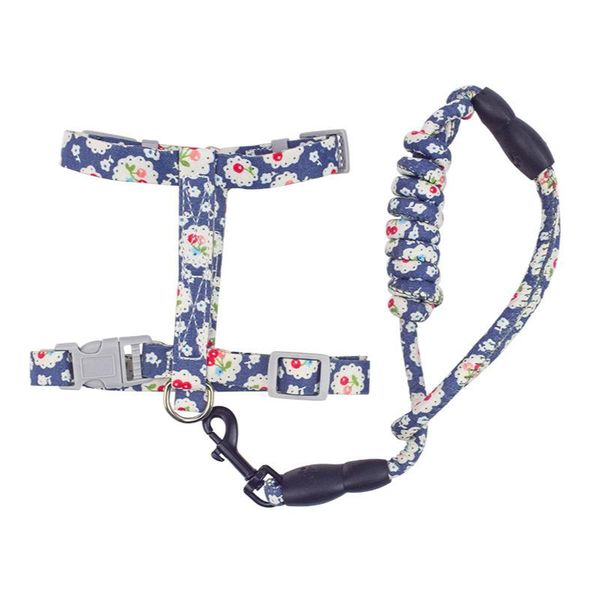 cat collars & leads pet dog supplies harness with leash adjustable vest walking
cat collars & leads pet dog supplies harness with leash adjustable vest walking