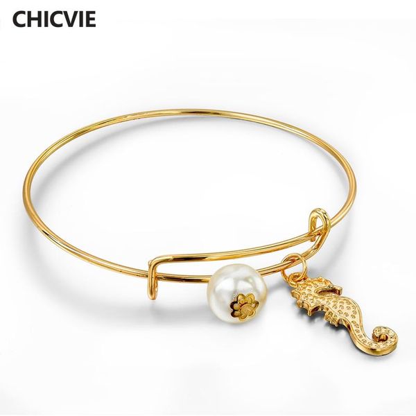 charm bracelets chicvie dolphin & hippocampus cuff bangles charms for women girls jewelry making stainless steel bracelet sbr150226, Golden;silver
charm bracelets chicvie dolphin & hippocampus cuff bangles charms for women girls jewelry making stainless steel bracelet sbr150226, Golden;silver