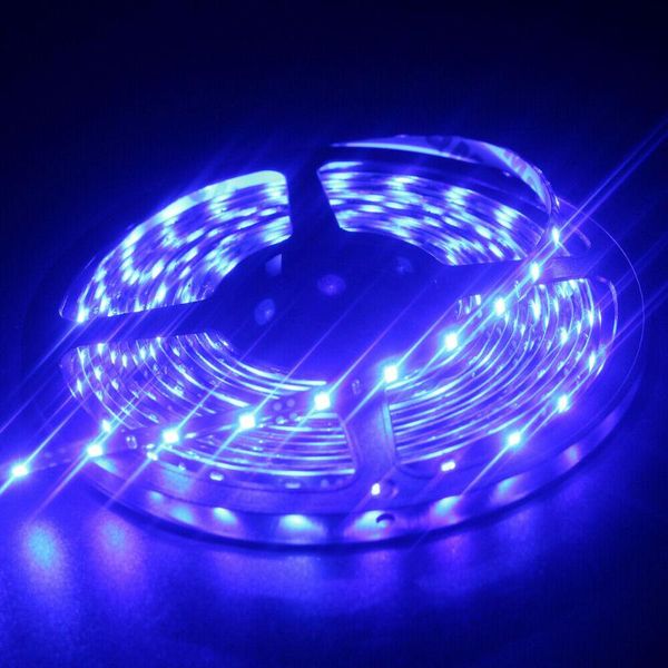 strips 1x 12v 24v dc blue 5m 1210 3528 smd 300 led flexible soft strip home lights jk1619
strips 1x 12v 24v dc blue 5m 1210 3528 smd 300 led flexible soft strip home lights jk1619