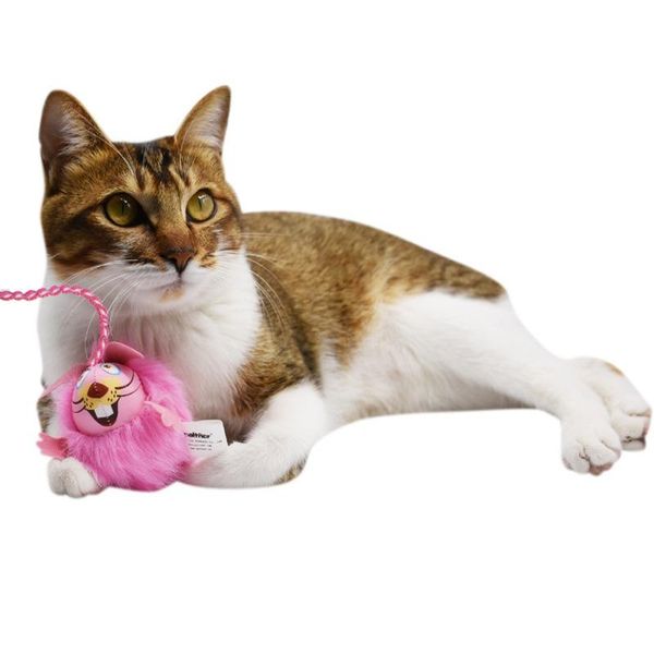cat toys longhair catnip interactive funny stick pet consume energy play tools products supplies
cat toys longhair catnip interactive funny stick pet consume energy play tools products supplies