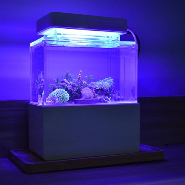 aquariums blue led lighting fish tank light lamp for mini plastic cylinder dedicated coral lights aquarium accessories
aquariums blue led lighting fish tank light lamp for mini plastic cylinder dedicated coral lights aquarium accessories