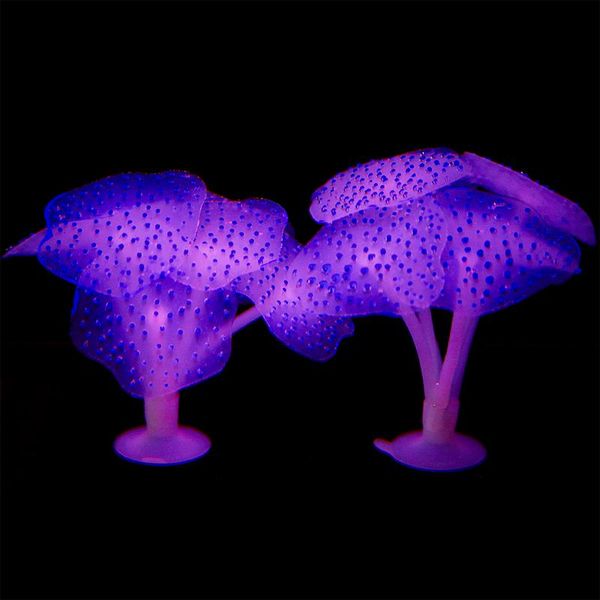 decorations aquarium 2pcs/set coral fish tank silica gel simulation sucker silicone plant ornament water landscape decor accessories
decorations aquarium 2pcs/set coral fish tank silica gel simulation sucker silicone plant ornament water landscape decor accessories