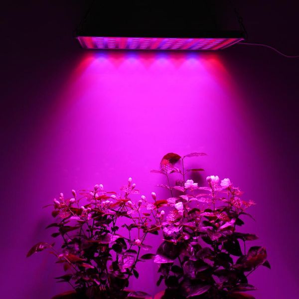 grow light 75w plant lights 169 pcs red blue panel growing lamps with hanging chains for indoor greenhouses plants
grow light 75w plant lights 169 pcs red blue panel growing lamps with hanging chains for indoor greenhouses plants