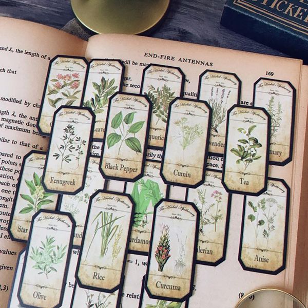 gift wrap retro plant english illustrated book diy will post handbook decoration material fern diary sticker bookmark
gift wrap retro plant english illustrated book diy will post handbook decoration material fern diary sticker bookmark