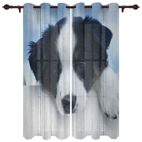 exquisite home curtains puppy wood texture retro living room bedroom kitchen translucent polyester decorative curtain & drapes
exquisite home curtains puppy wood texture retro living room bedroom kitchen translucent polyester decorative curtain & drapes