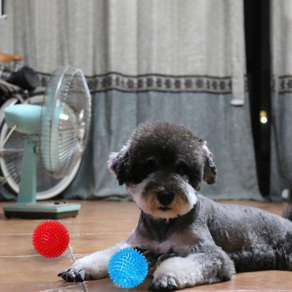 cat toys pet dog toy spike ball big golden fur border animal bite teddy voice glue sound trainer & whistle
cat toys pet dog toy spike ball big golden fur border animal bite teddy voice glue sound trainer & whistle