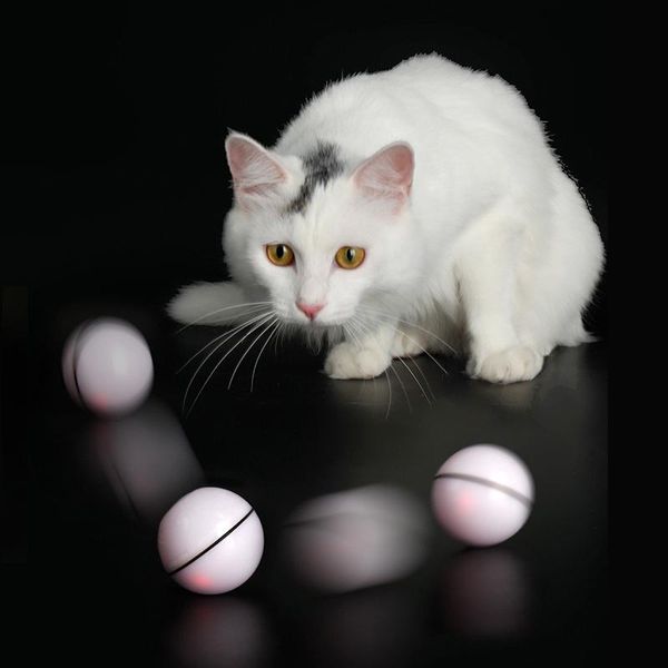 smart interactive cat toy ball colorful led self rotating usb rechargeable playing pet supplies for dropship toys
smart interactive cat toy ball colorful led self rotating usb rechargeable playing pet supplies for dropship toys