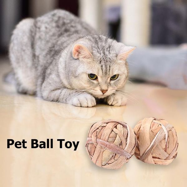 cat toys small animal play grass ball playing training funny chewing chew bite pet kitten toy for parrot hamster gerbils
cat toys small animal play grass ball playing training funny chewing chew bite pet kitten toy for parrot hamster gerbils