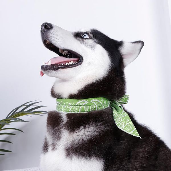 dog apparel cooling collar cotton breathable summer bandana pet for dogs cat 
dog apparel cooling collar cotton breathable summer bandana pet for dogs cat