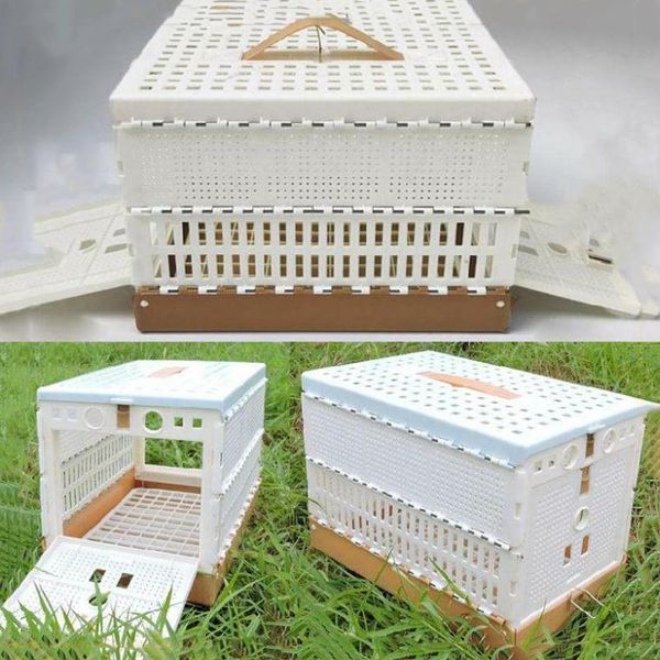other bird supplies 1 set training box for racing pigeon plastic folding cage accessories
other bird supplies 1 set training box for racing pigeon plastic folding cage accessories