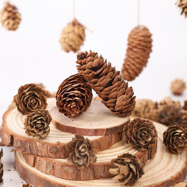 decorative flowers & wreaths 2 packs/lot mini lovely natural dried flower pinecone series christmas decoration for home diy gifts box decor
decorative flowers & wreaths 2 packs/lot mini lovely natural dried flower pinecone series christmas decoration for home diy gifts box decor