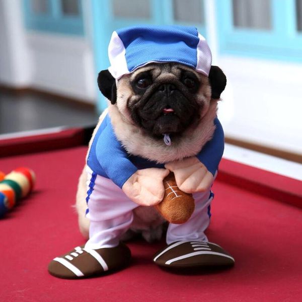 dog apparel cats dogs clothes cosplay rugby american football sport suit costume for pet cartoon party clothing dress with shoes y111
dog apparel cats dogs clothes cosplay rugby american football sport suit costume for pet cartoon party clothing dress with shoes y111