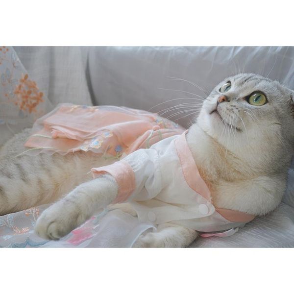 cat costumes classical elegant comfortable hanfu spring summer dog and clothes gauze in china ancient costume pet puppy accessories
cat costumes classical elegant comfortable hanfu spring summer dog and clothes gauze in china ancient costume pet puppy accessories