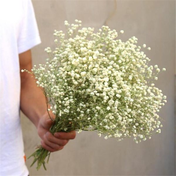 decorative flowers & wreaths 25g dried gypsophila 100% true natural diy wedding party po props plant cafe library home decoration
decorative flowers & wreaths 25g dried gypsophila 100% true natural diy wedding party po props plant cafe library home decoration