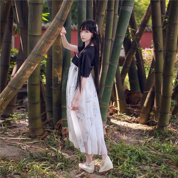 ethnic clothing summer chinese style woman hanfu fairy elegant fashion dance costumes retro short sleeve mesh dress han dynasty clothes 2021, Red
ethnic clothing summer chinese style woman hanfu fairy elegant fashion dance costumes retro short sleeve mesh dress han dynasty clothes 2021, Red