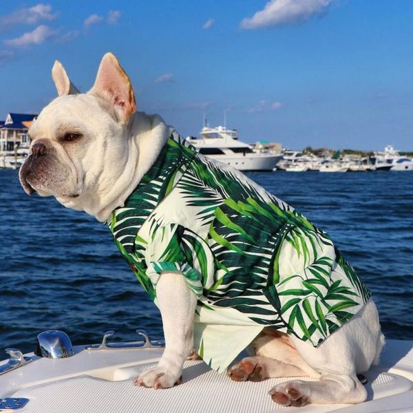 dog apparel summer beach shirt pet clothes puppy dogs hawaii style clothing floral t hawaiian cat chihuahua pets costume
dog apparel summer beach shirt pet clothes puppy dogs hawaii style clothing floral t hawaiian cat chihuahua pets costume