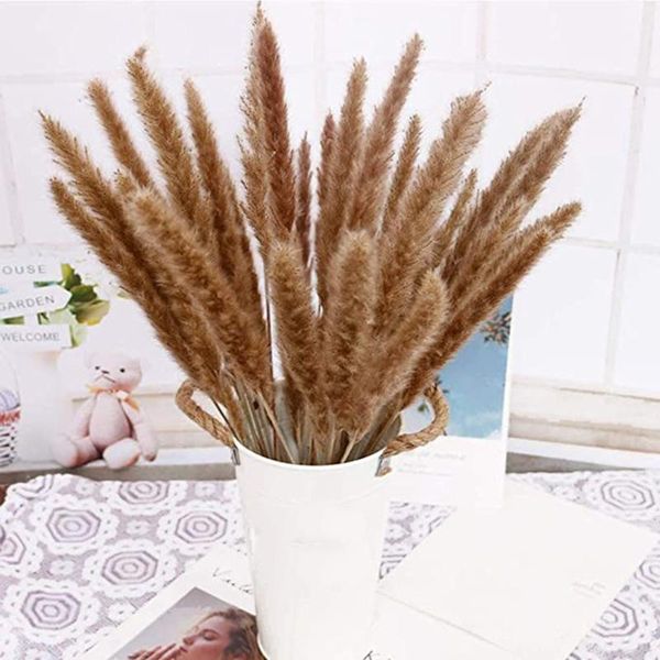 decorative flowers & wreaths 50/100pcs natural dried flower tail vases bunch colorful bouquet boho real for home wedding decoration
decorative flowers & wreaths 50/100pcs natural dried flower tail vases bunch colorful bouquet boho real for home wedding decoration