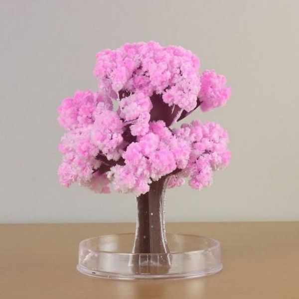 paper magician magic colorful christmas tree growing liquid diy non-toxic blossom artificial flower kids toys decorative objects & figurines
paper magician magic colorful christmas tree growing liquid diy non-toxic blossom artificial flower kids toys decorative objects & figurines