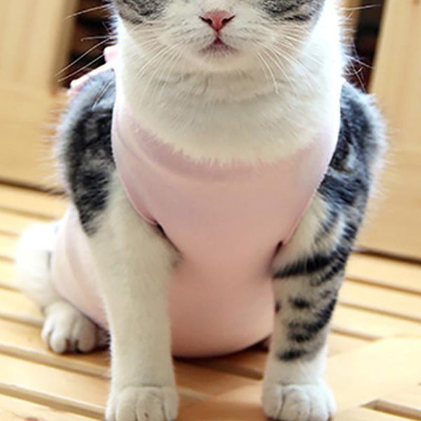 cat costumes shirt coat sling vest 2021 soft pet clothes recovery protection supplies suit
cat costumes shirt coat sling vest 2021 soft pet clothes recovery protection supplies suit