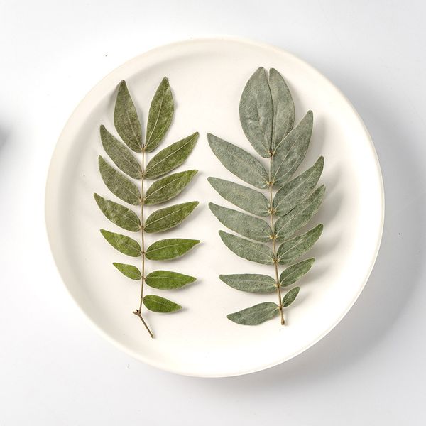 cherry leaf dry flower embossing real plant specimen bookmark petal makeup table lamp candle silk fan festival gift design
cherry leaf dry flower embossing real plant specimen bookmark petal makeup table lamp candle silk fan festival gift design