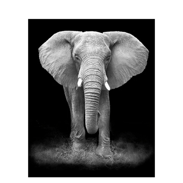paintings elephant painting no numbers animal on canvases with framed handpainted diy kits coloring oil picture by home decoration
paintings elephant painting no numbers animal on canvases with framed handpainted diy kits coloring oil picture by home decoration
