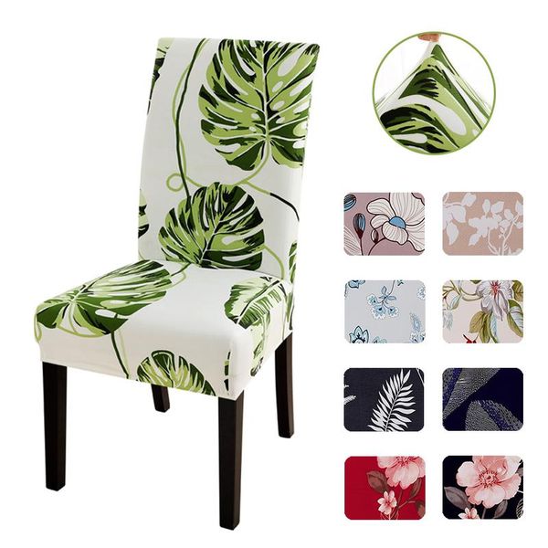 chair covers plant style printed cover for dining room kitchen office el banquet home decor stretch seat removable anti-dirty
chair covers plant style printed cover for dining room kitchen office el banquet home decor stretch seat removable anti-dirty