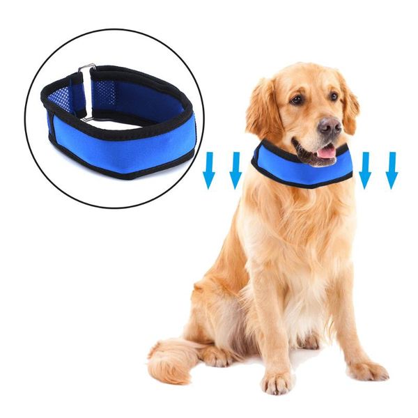cat collars & leads pet cooling collar dog adjustable chain with removable gel pack summer cool ice heatstroke
cat collars & leads pet cooling collar dog adjustable chain with removable gel pack summer cool ice heatstroke