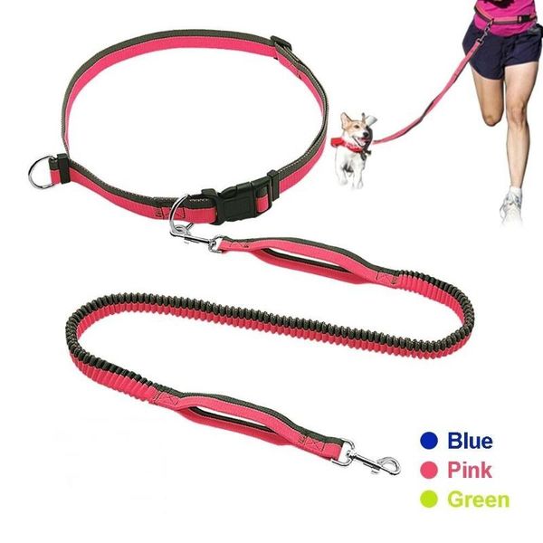 dog leash running jogging pet lead adjustable walking hand waist belt double traction rope for small medium large dogs collars & leashe
dog leash running jogging pet lead adjustable walking hand waist belt double traction rope for small medium large dogs collars & leashe