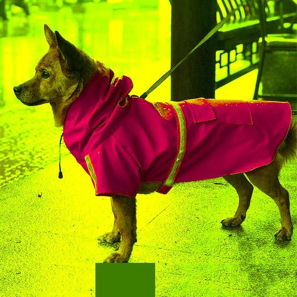 dog apparel pet raincoat reflective waterproof zipper clothes high neck hooded jumpsuit for small big dogs overalls rain cloak labrador
dog apparel pet raincoat reflective waterproof zipper clothes high neck hooded jumpsuit for small big dogs overalls rain cloak labrador