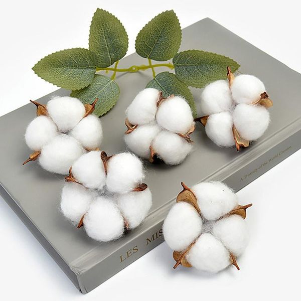 decorative flowers & wreaths 10pcs artificial cotton head natural fake flower wedding car christmas home decor diy gifts box
decorative flowers & wreaths 10pcs artificial cotton head natural fake flower wedding car christmas home decor diy gifts box
