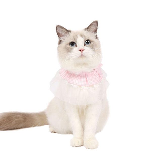 cat collars & leads cute lace princess collar bib pet necklace accessories puppy chihuahua kitten with pearl adjustable pets bowtie gift
cat collars & leads cute lace princess collar bib pet necklace accessories puppy chihuahua kitten with pearl adjustable pets bowtie gift