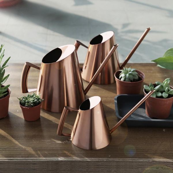 watering equipments stainless steel can home retro garden kettle flower plant large capacity gardening tools
watering equipments stainless steel can home retro garden kettle flower plant large capacity gardening tools