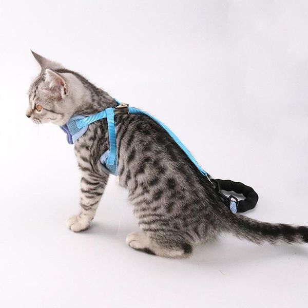 cat collars & leads harness vest with cute bowknot design strap bow adjustable breathable mesh pet supplies leashes chest
cat collars & leads harness vest with cute bowknot design strap bow adjustable breathable mesh pet supplies leashes chest